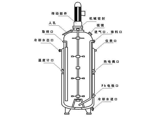 常用發(fā)酵罐的結構組成